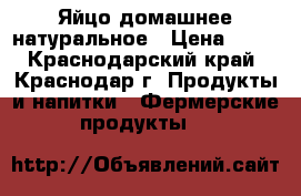 Яйцо домашнее натуральное › Цена ­ 75 - Краснодарский край, Краснодар г. Продукты и напитки » Фермерские продукты   
